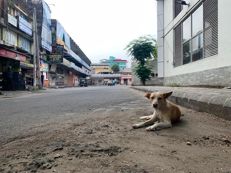 വെറ്ററിനറി ആശുപത്രികള്, ഡിസ്പെന്സറികള്, ക്ലിനിക്കുകള്, പതോളജി ലാബുകള് , മരുന്നുകളുടെയും വാക്സിനുകളുടെയും വിതരണം, വില്പന, കോവിഡ് പ്രതിരോധ പ്രവര്ത്തനങ്ങളുമായി ബന്ധപ്പെട്ട് പ്രവര്ത്തിക്കുന്ന ഹോം കെയര് പ്രൊവൈഡര്മാര് അടക്കമുള്ള അംഗീകൃത സ്വകാര്യ സ്ഥാപനങ്ങള് എന്നിവര്ക്കും പ്രവര്ത്തിക്കാം.