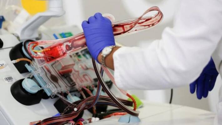COVID 19 recovered UP Doctor Donates Plasma COVID 19 recovered UP Doctor Donates Plasma