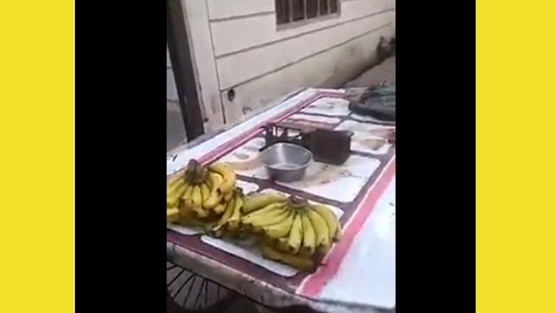 पेशाब करने के बाद इरफान ने बोतल के पानी से अपने हाथ धोए फिर वही बोतल का पानी अपने ठेले पर दिया और बाद में उसी पानी को केले पर छिड़क दिया। शिकायत में पेशाब छिड़कने की बात नहीं है बल्कि इरफान द्वारा गंदा पानी छिड़कने की शिकायत की गई है। मौके पर मौजूद एक और शख्स ने मीडिया से केले पर पेशाब छिड़कने की बात को खारिज किया है। 