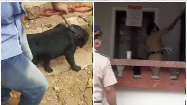 father and son injured in kozhikode payyoli blast father and son injured in kozhikode payyoli blast