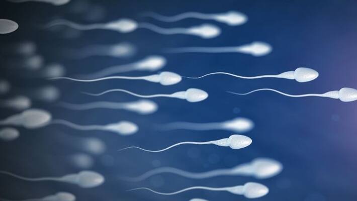 researchers claims that coronavirus may not spread through semen researchers claims that coronavirus may not spread through semen