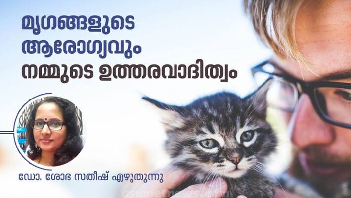 veterinary day special article by dr. sobha satheesh veterinary day special article by dr. sobha satheesh