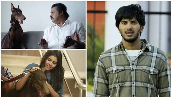 dulquer salmaan apologies for backlash over a scene in movie Varane Avashyamund dulquer salmaan apologies for backlash over a scene in movie Varane Avashyamund