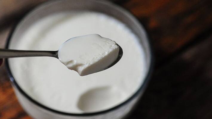 Reasons Why You Should Be Eating Curd Every Day Reasons Why You Should Be Eating Curd Every Day