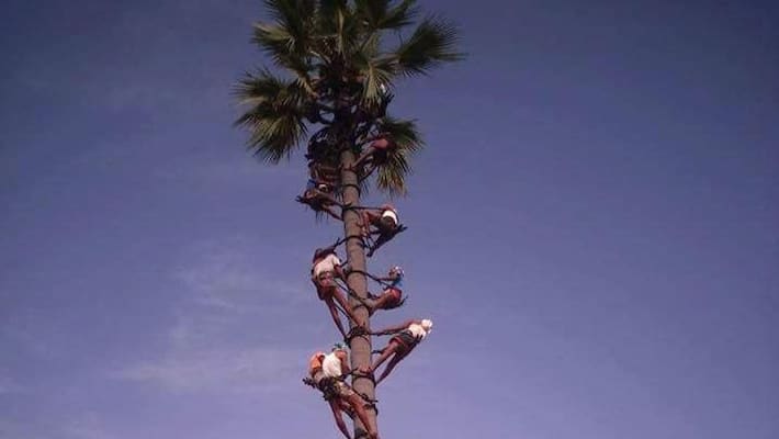 Tamilandu kal iyakkam request permission for selling toddy Tamilandu kal iyakkam request permission for selling toddy