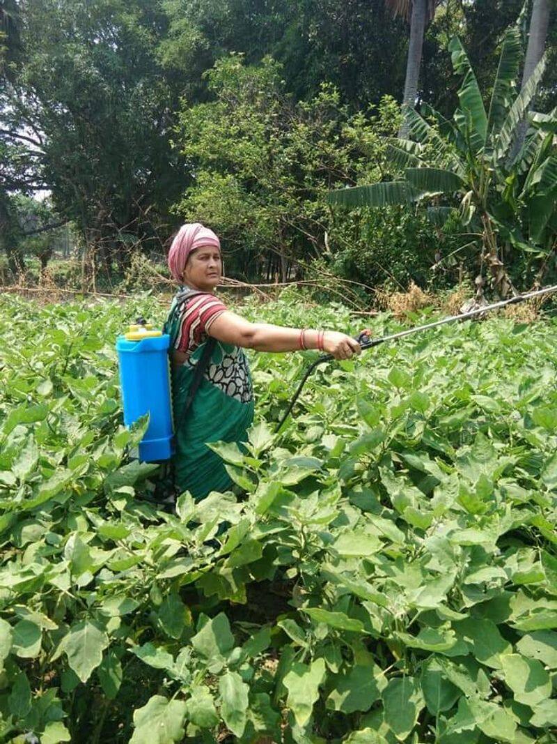 this odisha farmer distributing free vegetables in lock down