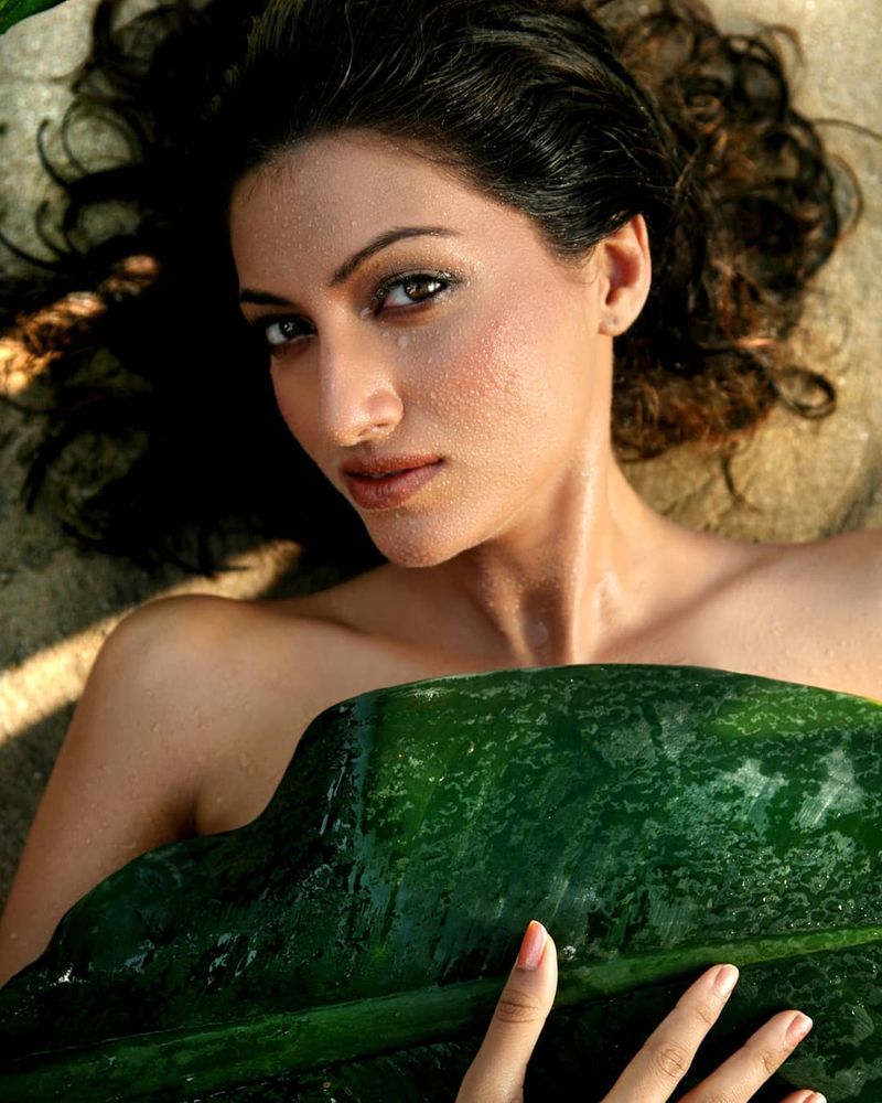 Hamsanandini 