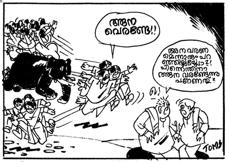 ടോംസ് തന്റെ ആത്മകഥയില് മരണത്തെക്കുറിച്ച് ഇങ്ങനെ പറയുന്നു. "പ്രകൃതി മനുഷ്യന് നല്കിയിരിക്കുന്നത് ഒരു വലിയ അനുഗ്രഹമാണ്. മരിക്കുന്നത് മനുഷ്യന് അറിയുകയില്ല. അതിനു മുമ്പ് ബോധം മറയുന്നതു കാരണം മരണവേദന എന്നുള്ളതു ഉണ്ടായിരിക്കുകയില്ല. കത്തോലിക്കര്ക്ക് അച്ചന്മാര് ഓതിത്തന്ന ഒരു പ്രാര്ത്ഥനയുണ്ട്. മരണസമയത്ത് എന്റെ ഞരമ്പുകള് വലിഞ്ഞു മുറുകി പ്രാണന് പിടയുമ്പോള് ദയാപരനായ ഈശോയെ, ഞങ്ങളെ കാത്തുകൊള്ളണമേ എന്ന്. മരണസമയത്ത് ഒരു ഞരമ്പും വലിഞ്ഞുമുറുകുകയില്ല. ഒരു പ്രാണനും പിടയുകയുമില്ല. മരണമെന്നു പറയുന്നത് ഒരു ലോംഗ് ലോംഗ് സ്ലീപ് ആണ്. ഉച്ചയൂണുകഴിഞ്ഞ് നമ്മള് ഒന്ന് ഉറങ്ങിയെന്നു കരുതുക. ഉറക്കമുണര്ന്നതിനുശേഷം സ്വയം ഒന്നു ചിന്തിച്ചു നോക്കൂ. എപ്പഴാ ഉറങ്ങിയതെന്ന്. ഒരു പിടിയും കിട്ടുകയില്ല.അതുപോലെതന്നെയാണ് മരണവും. സാവധാനം ഇഴുകി ഇഴുകി നാം ഉറങ്ങുന്നു. എന്നന്നേക്കുമുള്ള ഒരു നീണ്ട ഉറക്കം. ഉറങ്ങുന്നതിനുമുമ്പ് ഉറക്കത്തിലേക്ക് ഇഴുകിവീഴുന്ന അര്ദ്ധബോധാവസ്ഥയിലേക്കുള്ള ഒരു നിര്വൃതിയുണ്ടല്ലോ, അതാണ് ഒരുവന്റെ ജീവിതത്തില് ഏറ്റവും സുഖകരമായ അനുഭൂതി; ആ അനുഭൂതിയാണ് മരണസമയത്തും. ചുരുക്കിപ്പറഞ്ഞാല് മരണത്തിലേക്ക് വഴുതിവീഴുന്ന സുഖത്തേക്കാള് വലിയൊരു സുഖമില്ല. മരണസമയത്ത് അപ്പനോട് മക്കള്ക്കു ചെയ്യാവുന്ന ഏറ്റവും വലിയ ഉപകാരം തുറസ്സായ മുറിയില് ഒറ്റയ്ക്ക് കിടത്തിയിട്ട് മക്കളും ബന്ധുക്കളും മാറുക. ശേഷം ലതാ മങ്കേഷ്കറുടെയോ സൈഗാളിന്റെയോ ഗാനം ശബ്ദം കുറച്ച് അരികില് വെച്ചുകൊടുത്തിട്ടു സമാധാനമായി മരിക്കാന് അനുവദിച്ചാല് മക്കള്ക്ക് പുണ്യം കിട്ടും. ഞാന് മരിക്കുന്നതിനുമുമ്പ് എന്റെ മക്കളോടും പറയും മരിക്കുന്നതിനു മുമ്പ് ഇതുപോലൊരു മുറിയില് സൈഗാളിന്റെ സോജ രാജകുമാരി എന്ന ഗാനം വെച്ചുതരണമെന്ന്. അതു കേട്ടുകൊണ്ട് മരിക്കുന്നതിലും സുഖപ്രദമായി ജീവിതത്തില് എന്തുണ്ട്."