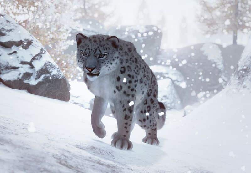 Risking his own life, how a 42-year old has rescued 47 snow leopards
