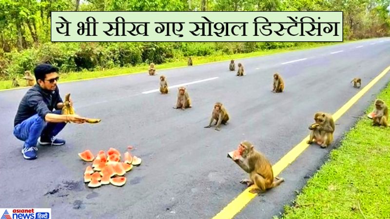 यह तस्वीर 'असम-अरुणाचल सीमा से लगे हुए भालुकपोंग के पास की है। तस्वीर अरुप कालिता ने क्लिक की है। इसमें बंदर दो लाइनों में दूर-दूर बैठे हुए हैं।