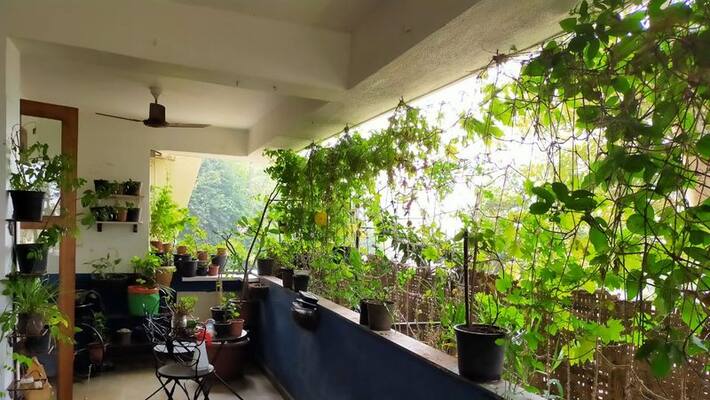 Cool terrace in minimum cost Cool terrace in minimum cost