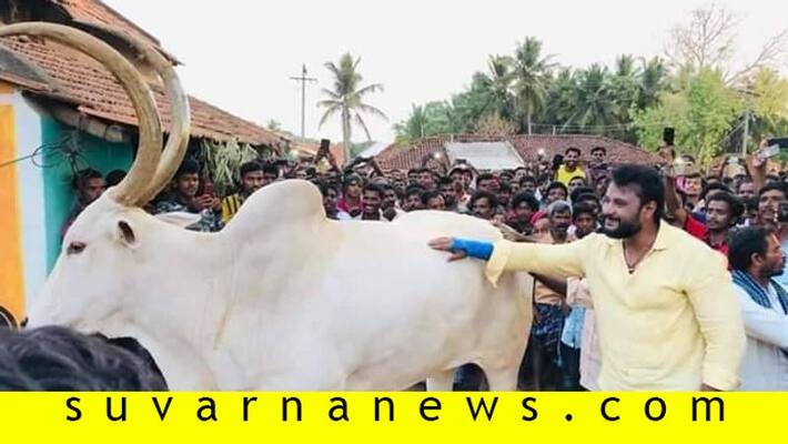 Kannada Actor Darshan KR Pete Kalammana Koppalu Basava sick Seeks help Kannada Actor Darshan KR Pete Kalammana Koppalu Basava sick Seeks help