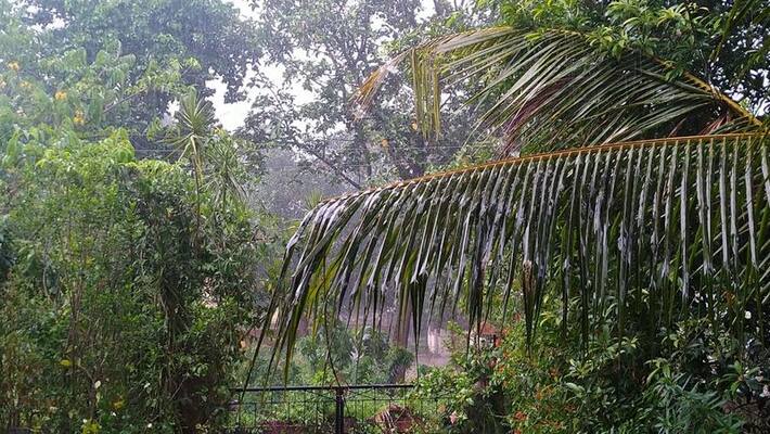 Heavy rain lashes in chikkamagalur Heavy rain lashes in chikkamagalur
