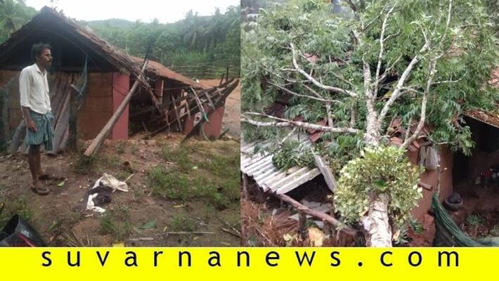 Heavy rain lashes in several places of mangalore Heavy rain lashes in several places of mangalore