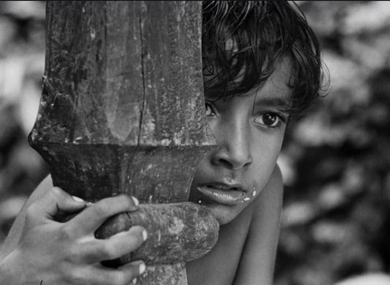 গল্পের বেশ কিছু অংশ হুবহু তুলে ধরেননি সত্যজিৎ রায়। পথের পাঁচালী গল্পের জন্য কোনও চিত্রনাট্য লেখাই হয়নি।