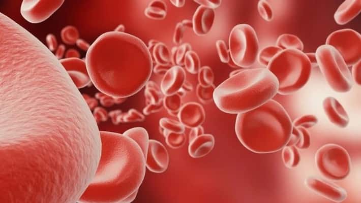 foods help to increase hemoglobin content in blood foods help to increase hemoglobin content in blood