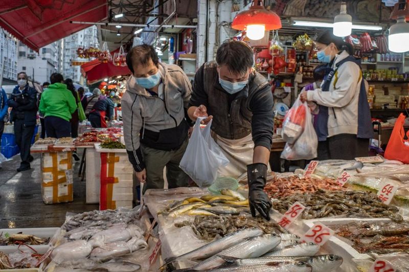 Five Eyes intelligence dossier claims China lied about coronavirus KPP