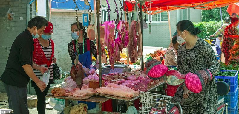 Five Eyes intelligence dossier claims China lied about coronavirus KPP