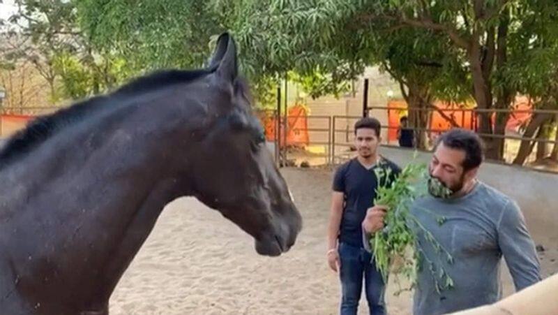 Actress Jacquline and lulia vantur Step inside Salman Khan Farmhouse