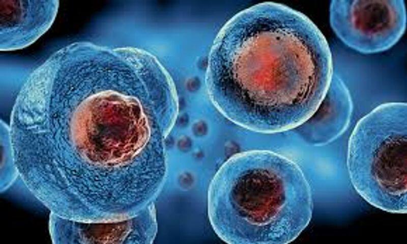 Stem Cell Therapy For COVID 19 in UAE