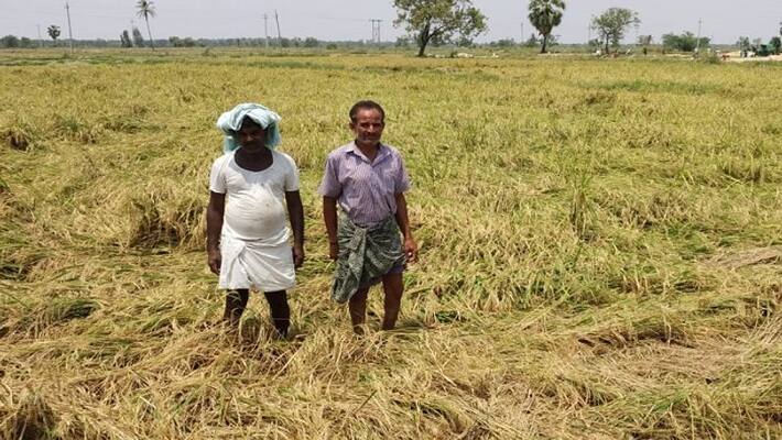 Farmers Faces Problems due to LockDown in Koppal District Farmers Faces Problems due to LockDown in Koppal District