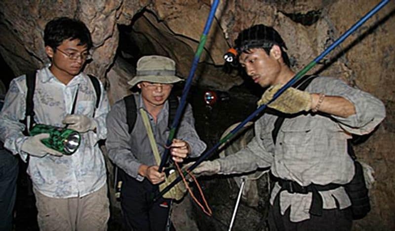 According to reports, one worker admitted being sprayed with bat blood or urine as images showed staff brazenly collecting samples with no face masks or protective suits.