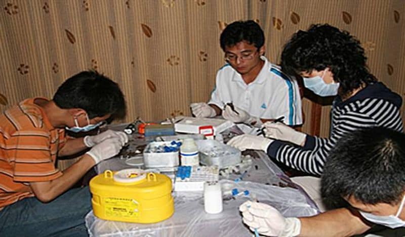 US and British intelligence officials suspect bungling scientists at the Wuhan Institute of Virology accidentally spread the killer disease during risky coronavirus tests on bats.
