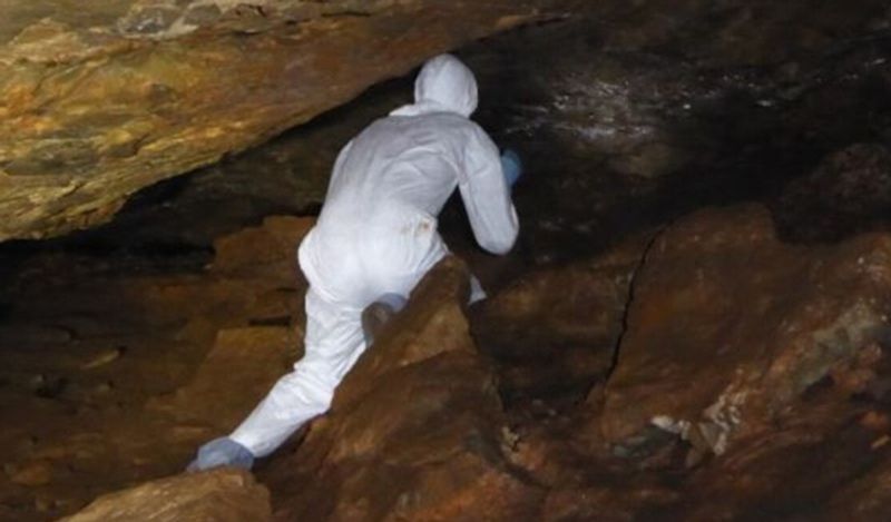 Incredibly some scientists didn’t even wear gloves as they entered caves to collect fecal bat swab samples, beaming for the camera and oblivious to the dangers.