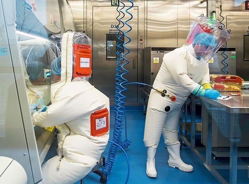world health organization asking to america profs for corona virus from hugan lab