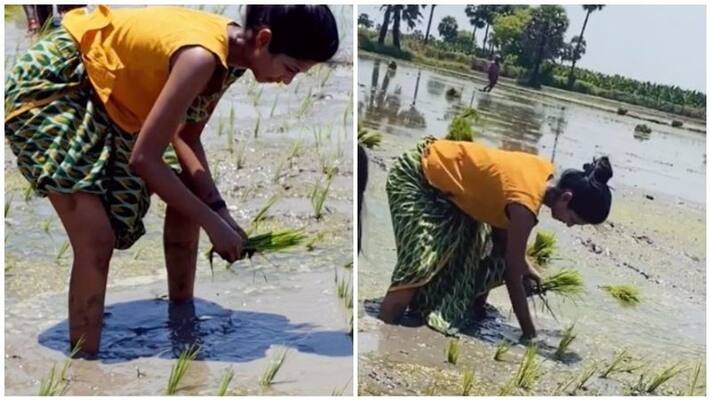actress keerthi pandiyan doing agriculture work actress keerthi pandiyan doing agriculture work