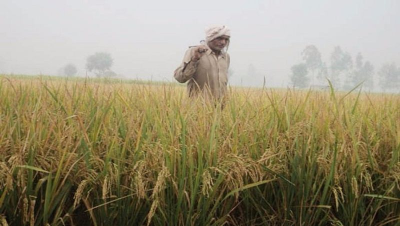 Get 6000 rupees help in Prime Minister Kisan Scheme, know the whole process MJA