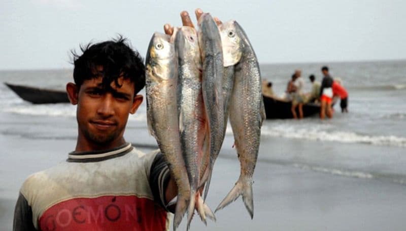 আবহাওয়া দফতর সূত্রে খবর, আগামী ২৪ ঘণ্টায় মৎস্যজীবীদের জন্য কোন সতর্ক বার্তা নেই ।