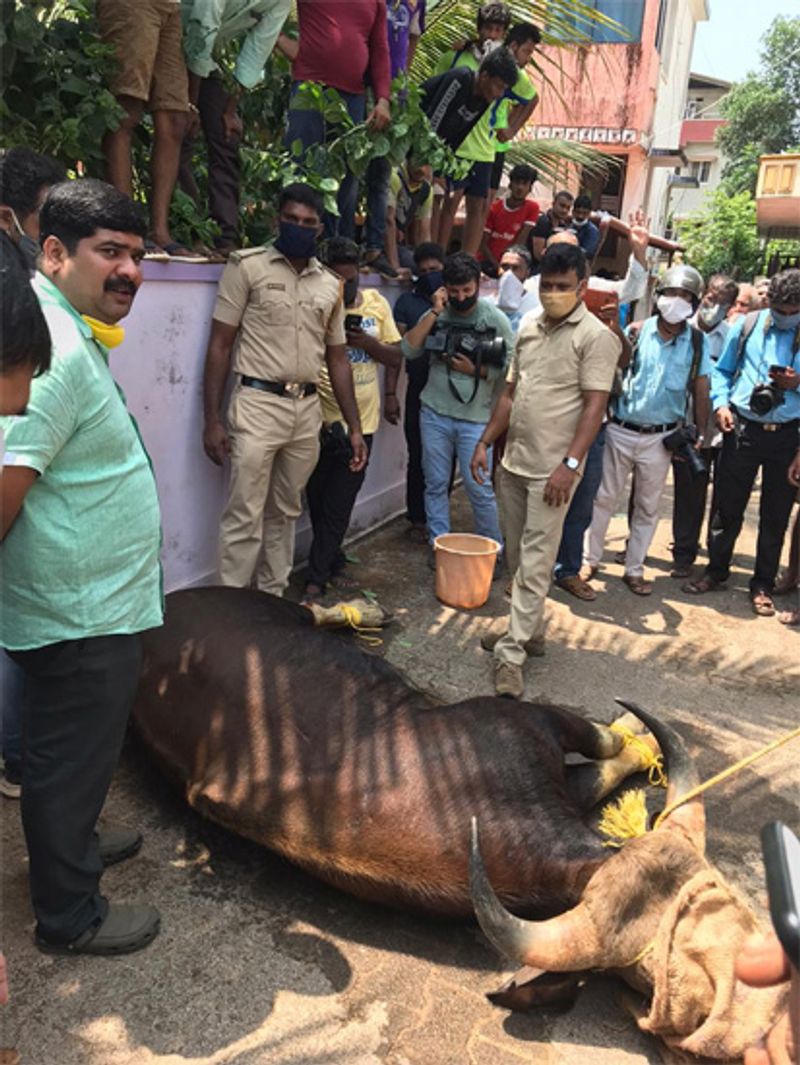 ಅರಿವಳಿಗೆ ಮದ್ದಿನ ಪ್ರಮಾಣ ಹೆಚ್ಚಾಾದಾಗಿದ್ದರೆ ಆ ಕಾರಣದಿಂದಲೂ ಸಾವು ಸಂಭವಿಸುವ ಸಾಧ್ಯತೆ ಇದೆ ಎಂದು ಹೇಳಲಾಗಿದೆ.