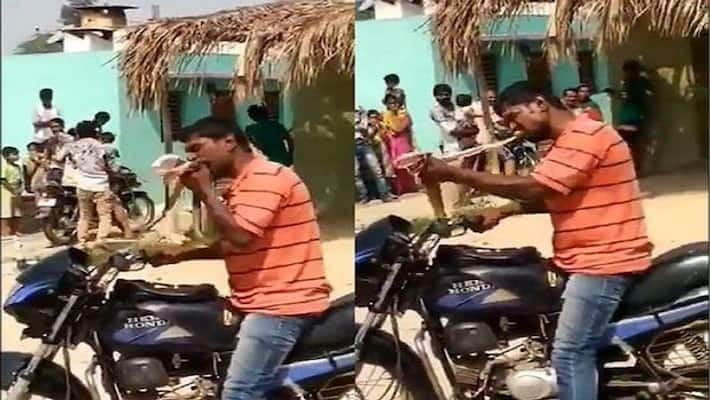 Man who bit snake to death faces three years jail term Man who bit snake to death faces three years jail term