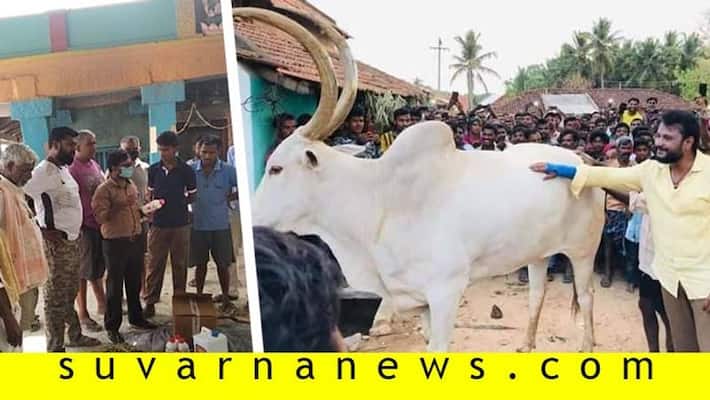 Kannada actor darshan helps KR pete Basava with medical expenses Kannada actor darshan helps KR pete Basava with medical expenses