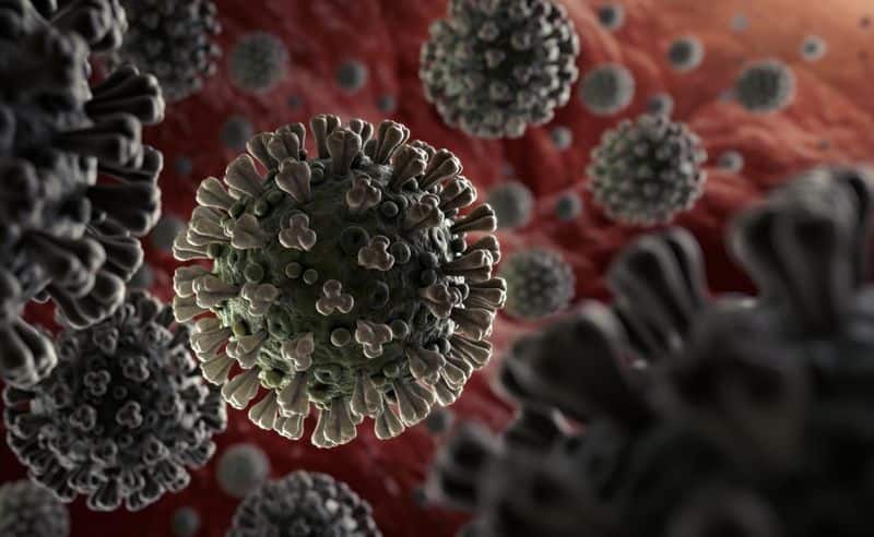 mutant strain coronavirus takes up to 24 hours detect says CSIR chief ckm