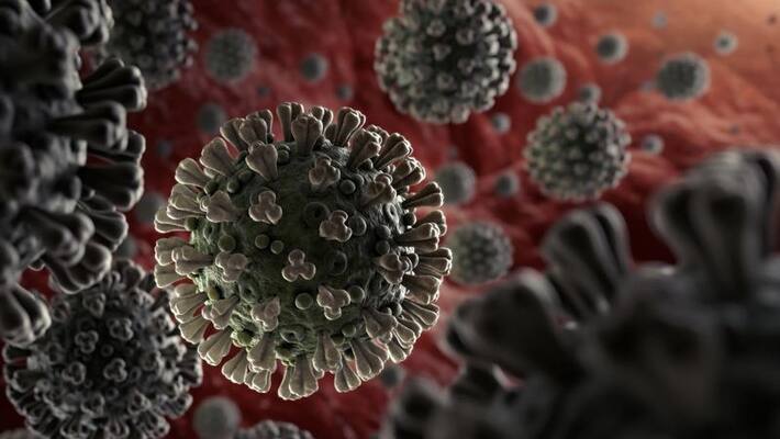 afghanistan could have one of highest covid-19 infection rates in world, report afghanistan could have one of highest covid-19 infection rates in world, report