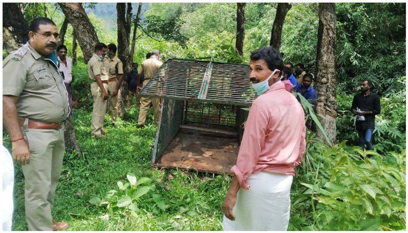 forest department search for  tiger in Pathanamthitta
