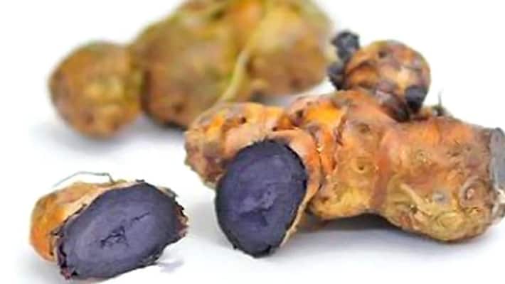 These are 8 remedies of black turmeric, it can relieve your problems and gain monitory benefits KPI These are 8 remedies of black turmeric, it can relieve your problems and gain monitory benefits KPI