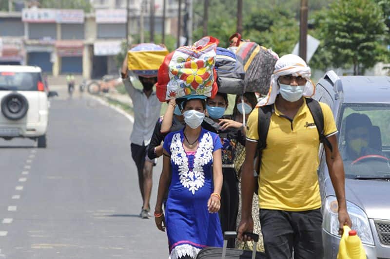 world health organization envoy david nabaro says July only virus peke in India
