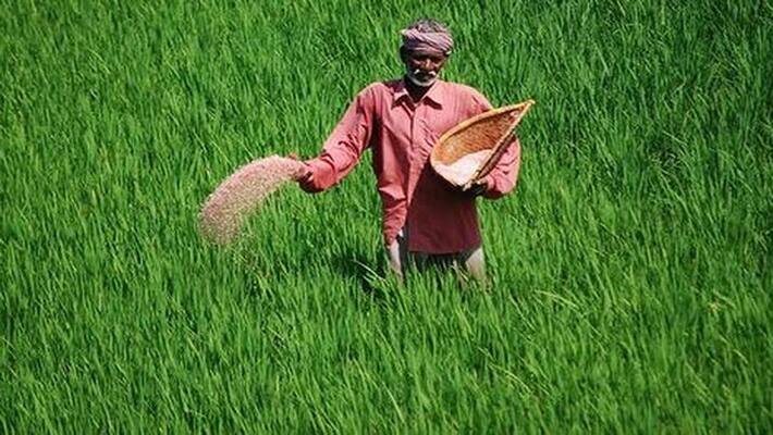 central government projects for farmers that not reach real farmers central government projects for farmers that not reach real farmers