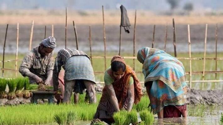 Agriculture Minister BC Patil special concerns about farmers Agriculture Minister BC Patil special concerns about farmers