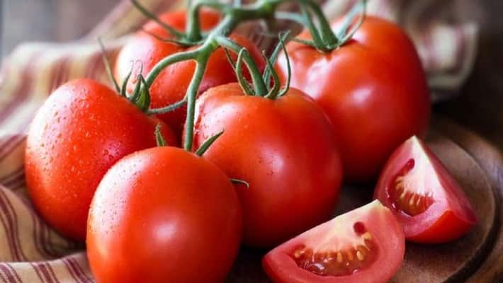 Tomato to get Crop insurance Tomato to get Crop insurance