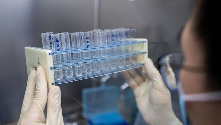 chinese hackers tried to steal vaccine research chinese hackers tried to steal vaccine research