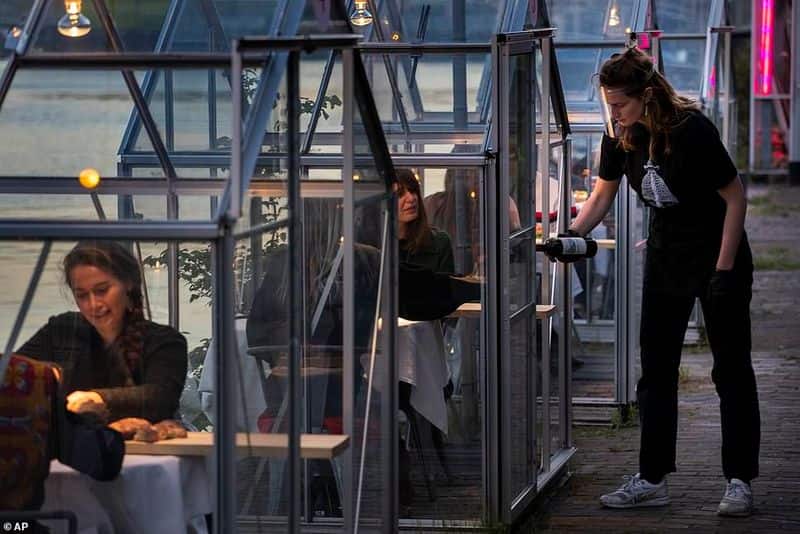 restaurant introduce quarantine greenhouse for social distance in Netherland