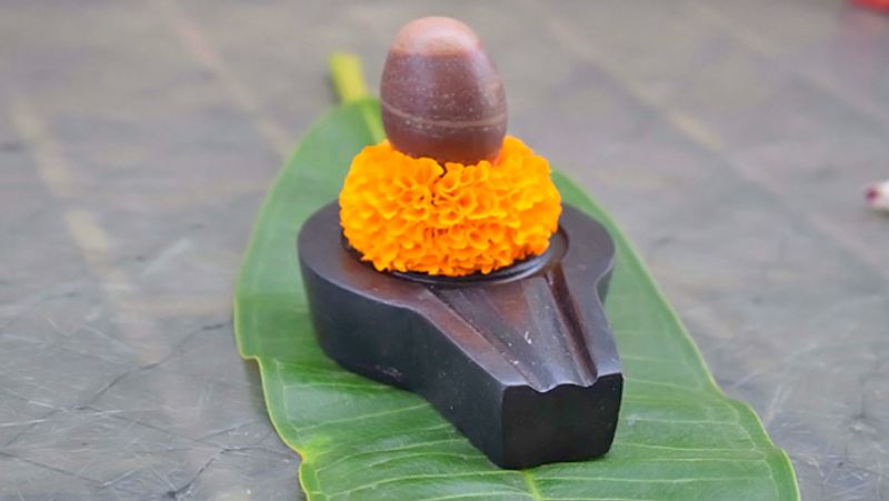 সোমবারে মহাদেবের আরাধনা সেই সঙ্গে প্রতি মঙ্গলবার বজরঙ্গবলীর পুজো ও হনুমান চল্লিশা পাঠ। একমাত্র এই মাসেই সঠিক নিয়ম পালন করলে শনির সাড়ে সাতি ও কালসর্প দোষ এর প্রকোপ কমানোর সম্ভাবনা থাকে।