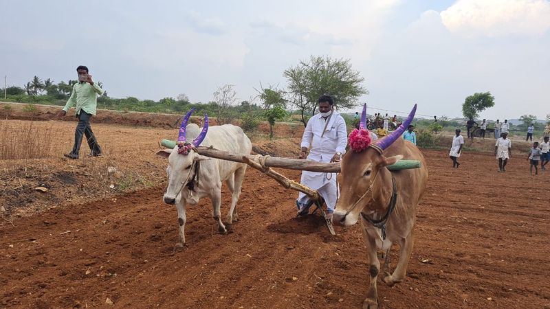 ಮೊದಲಿನಿಂದಲೂ ನಾನು ಕೃಷಿಕ. ಕೃಷಿಯ ಬಗ್ಗೆ ಬಹಳ ಅನುಭವವಿದೆ. ರೈತರ ಮೇಲೆ ಇರುವ ಪ್ರೀತಿ, ಅಭಿಮಾನಕ್ಕಾಗಿ ನಾನು ರಂಟೆ, ಕುಂಟೆ ಹೊಡೆದಿದ್ದೇನೆ, ಹೊರತು ರಾಜಕಾರಣಿಯಾಗಿ ಅಲ್ಲ ಎಂದ ಶಾಸಕ