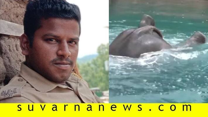 Forest watcher washed away while retrieving elephant carcass Forest watcher washed away while retrieving elephant carcass