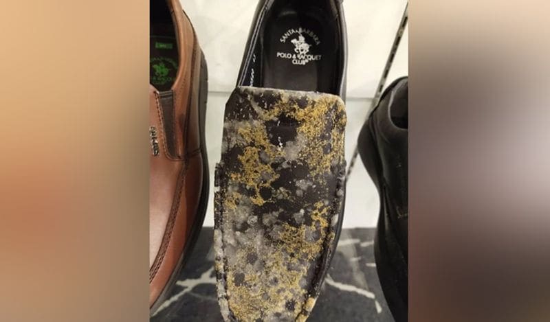 Loafers fell victim to the mould at this store in Malaysia after they shut down due to the coronavirus pandemic. A pair of shoes has turned yellow due to the mould.
