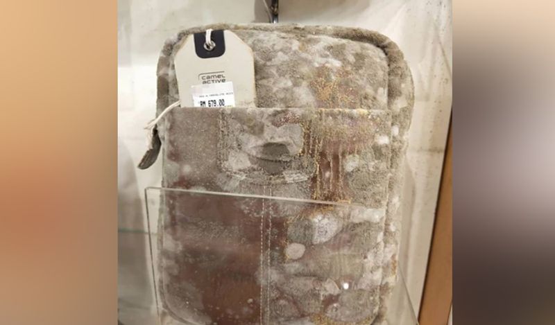 Leather bags began to be studded with mould after employees shut shop due to the coronavirus crisis two months ago.